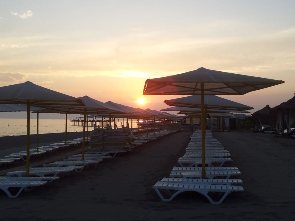 Aus dem Fischrestaurant raus Selectum Family Comfort Side