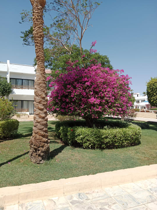 Außenansicht The Grand Hotel Hurghada