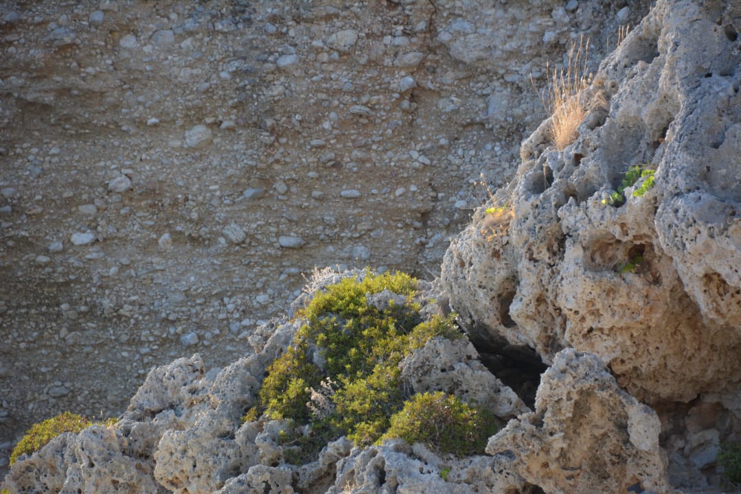 Sonstiges Hotel Kalithea Horizon Royal