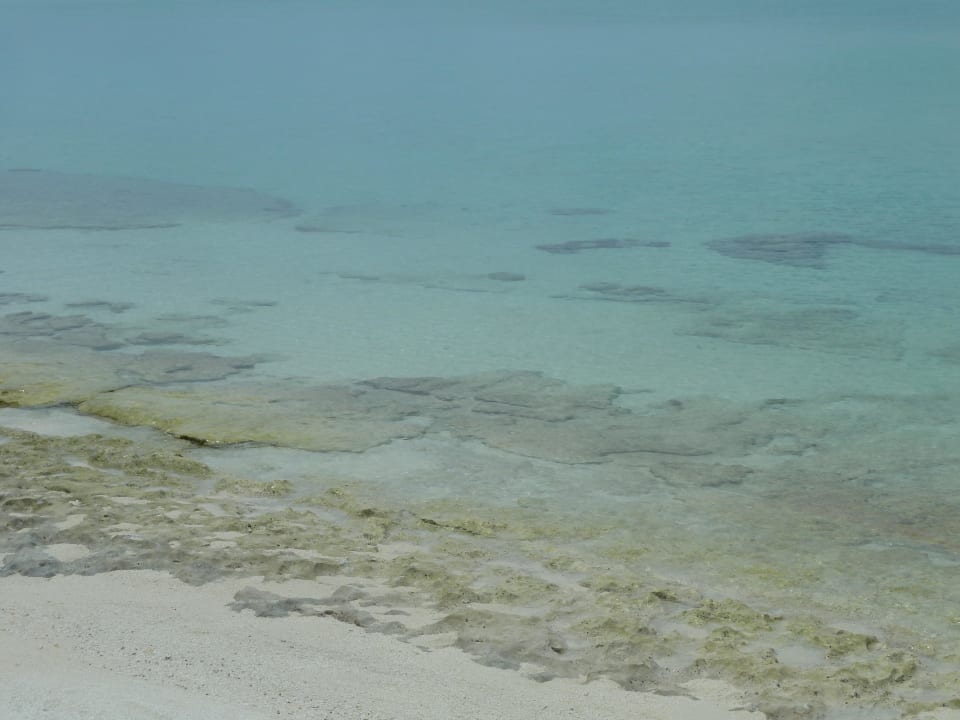 Nd hinter dem The Reef Restaurant Kuramathi Maldives