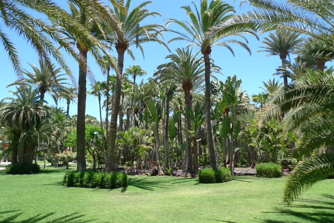 Außenansicht Hotel Riu Palace Oasis