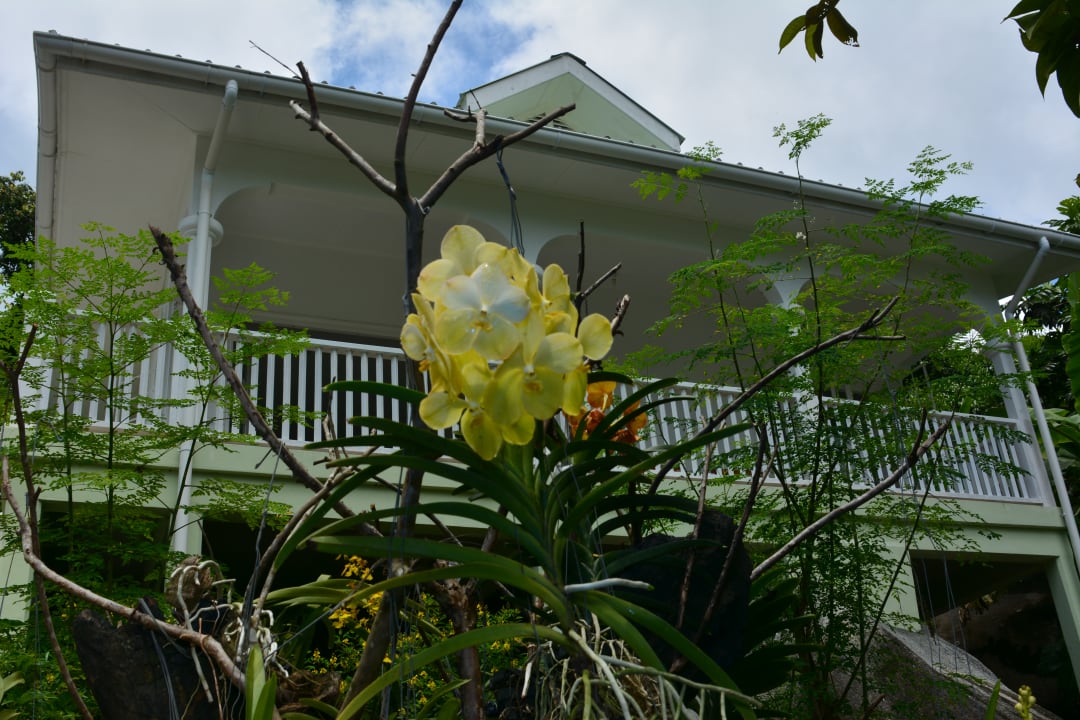 Zimmer Chalets Petit Baie