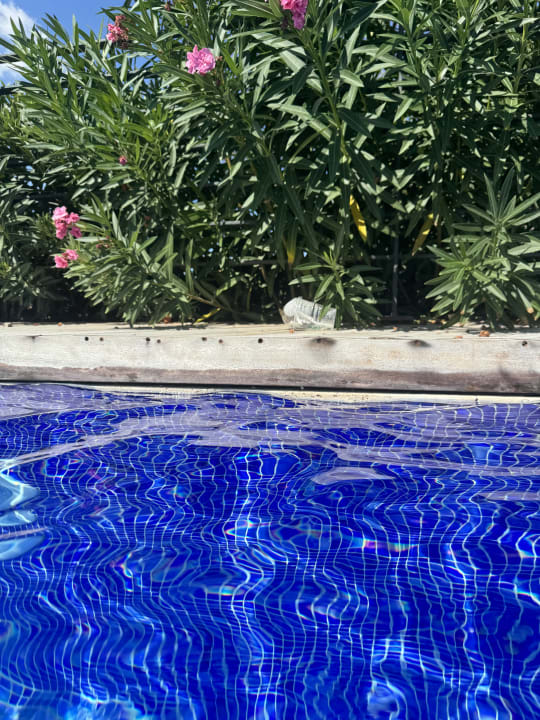 Pool The Plaza Bodrum