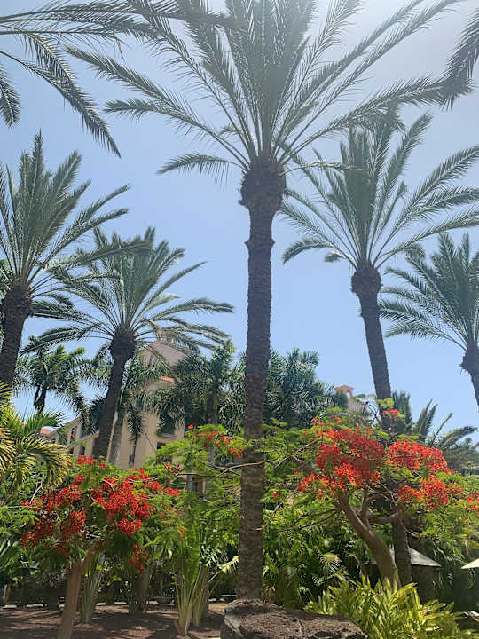 Gartenanlage Lopesan Costa Meloneras, Resort & Spa