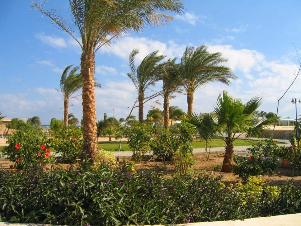 Gartenanlage Coral Beach Hurghada