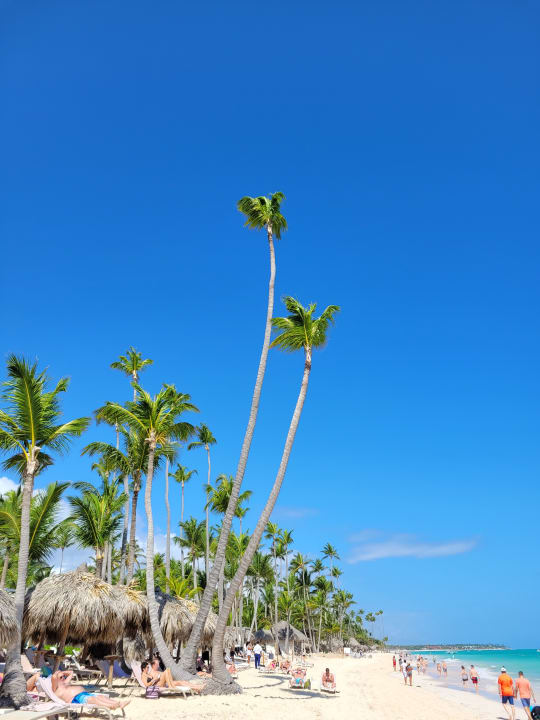 Strand TRS Turquesa Hotel - Adults only