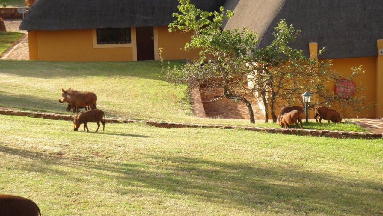 Gartenanlage Hannah Game Lodge