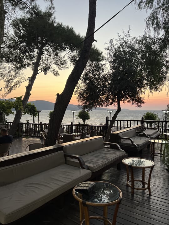 Gartenanlage Blue Dreams Resort & Spa