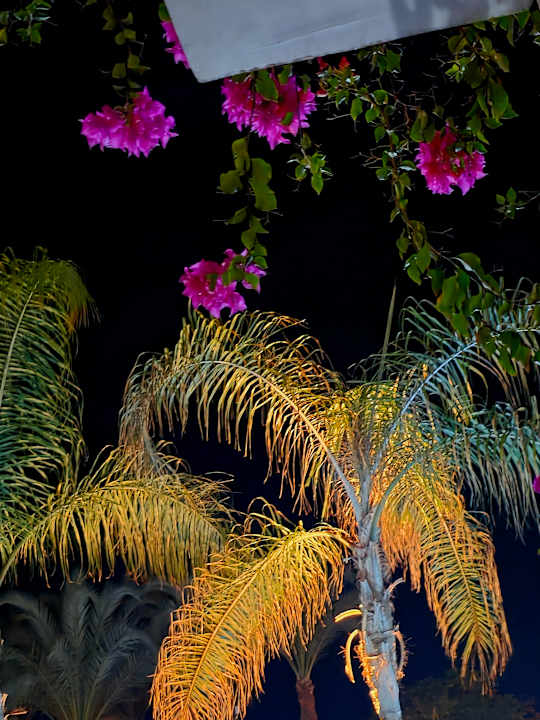 Ausblick The Grand Palace - Adults only