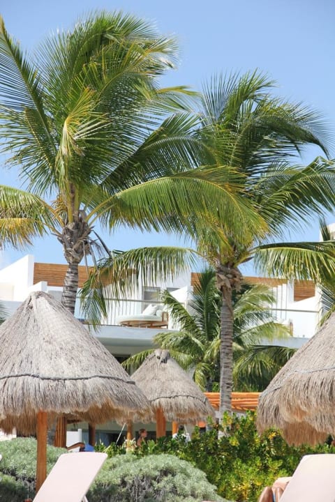 Blick auf die Dach-Suiten Excellence Playa Mujeres - Adults only