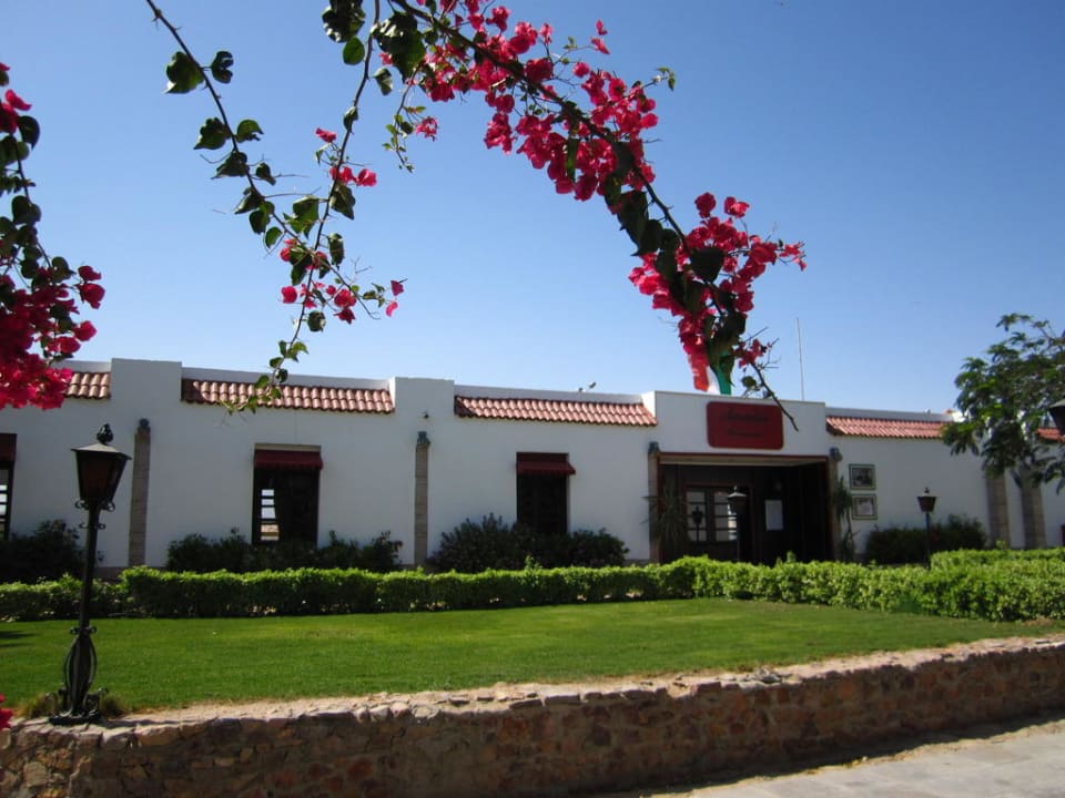 Restaurant Amalia Menaville Safaga