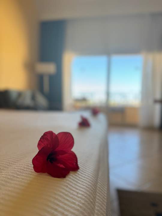 Zimmer Cleopatra Luxury Resort Makadi Bay