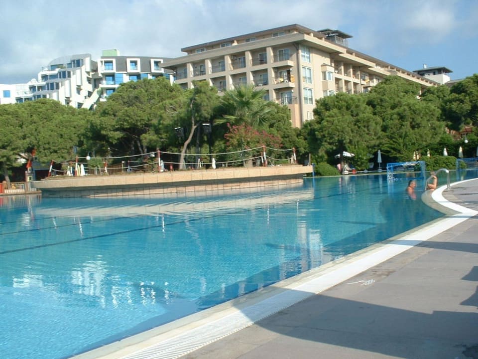 Pool Papillon Ayscha