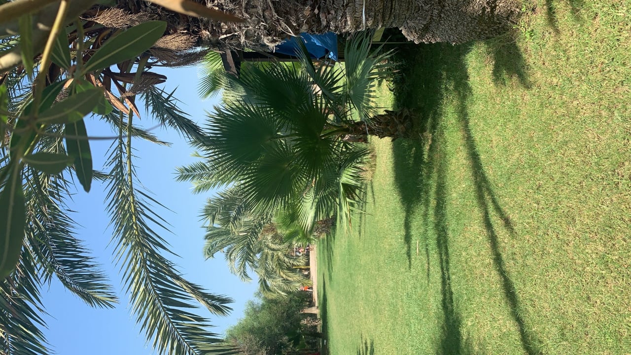 Gartenanlage Seaden Sea World Resort & Spa