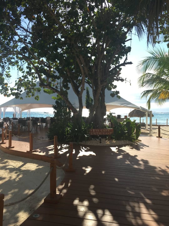 Restaurant Viva Cafe Hotel Viva Dominicus Palace by Wyndham-All Inclusive Resort
