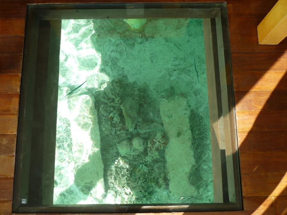 Glasboden im Zimmer Cinnamon Hakuraa Huraa Maldives