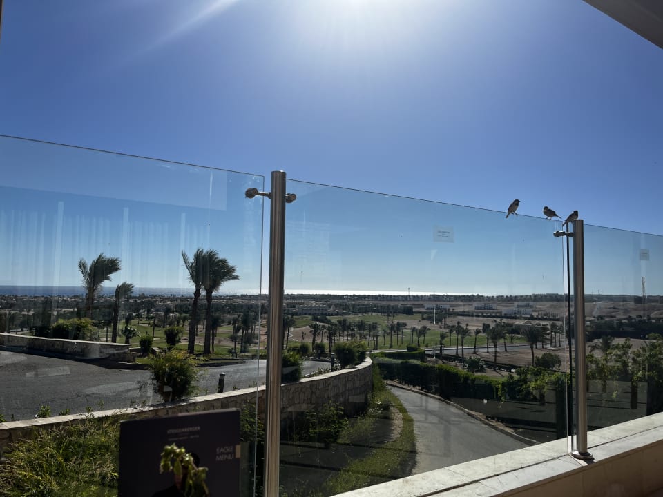 Gastro Steigenberger Makadi Hotel - Adults only