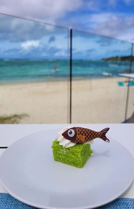 Ausblick C Mauritius