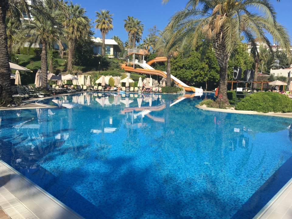 Pool Side Star Elegance