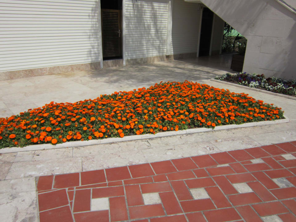 Das findet man überall Limak Limra Hotel & Resort