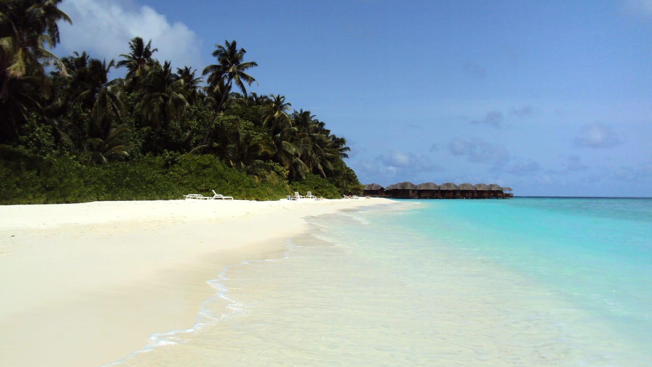 Traumstrand Nordseite Fihalhohi Maldives
