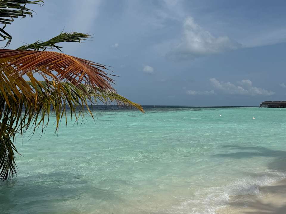 Sonstiges Vilamendhoo Island Resort & Spa