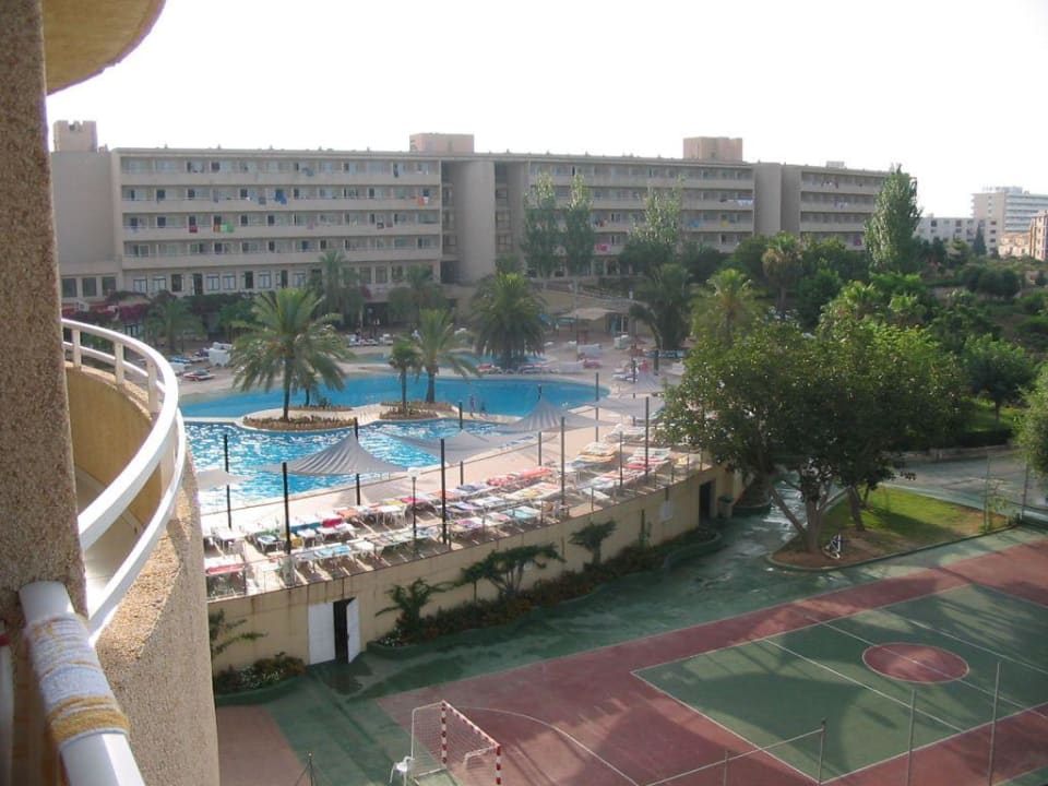 Blick auf die Poolanlage Hotel Club Cala Romani