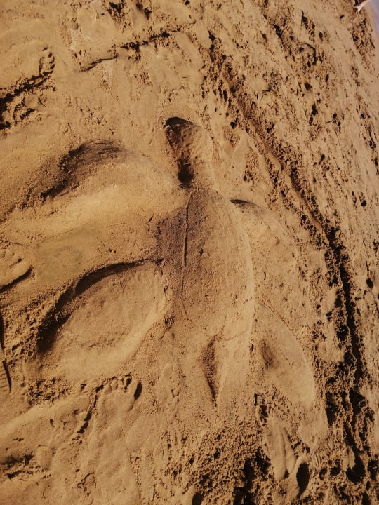 Strand Sentido Caribbean World Soma Bay