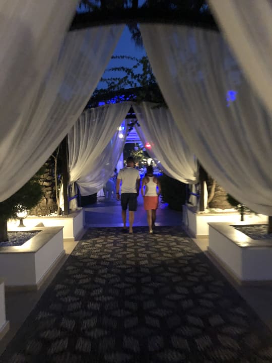 Pool Crystal Family Comfort Collection