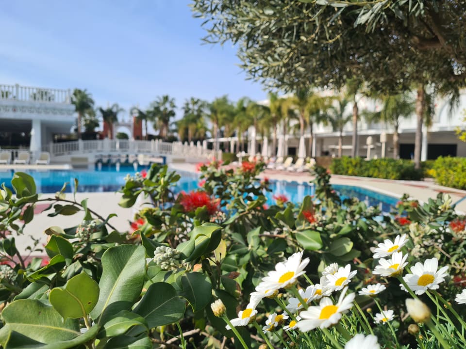 Pool Royal Taj Mahal Hotel
