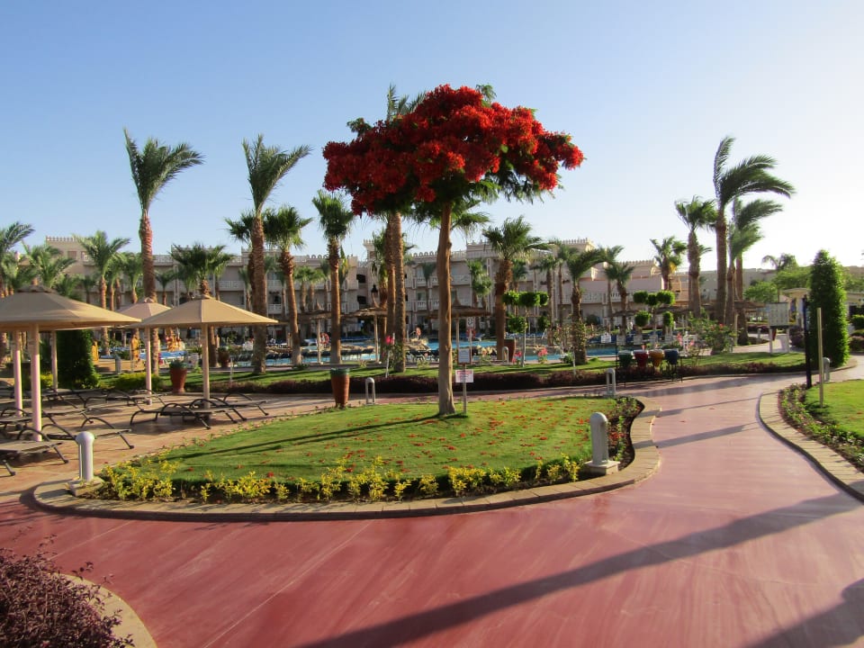 Gartenanlage Pickalbatros Palace Resort