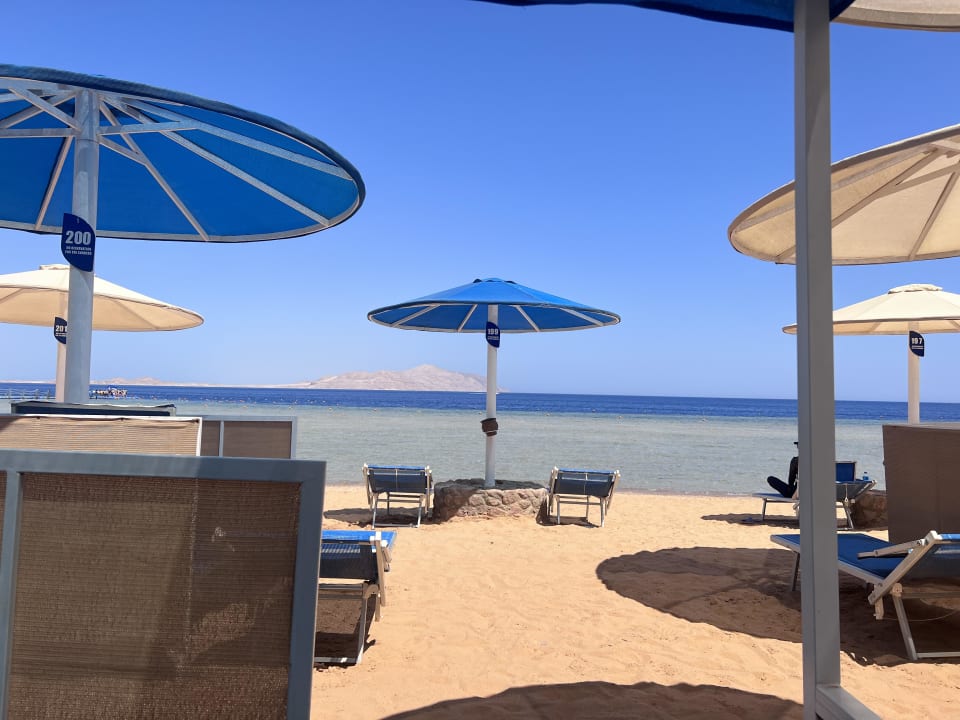 Strand Pickalbatros Palace Resort