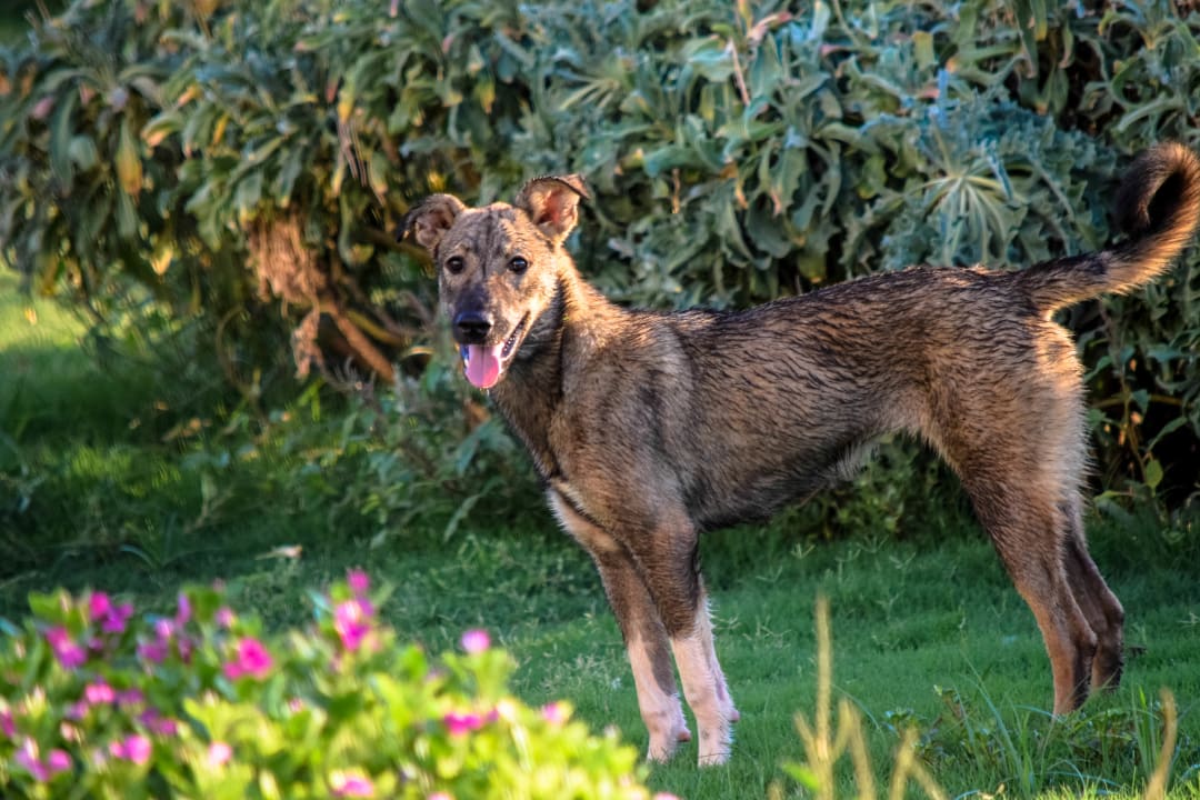 Sonstiges Three Corners Equinox Beach Resort