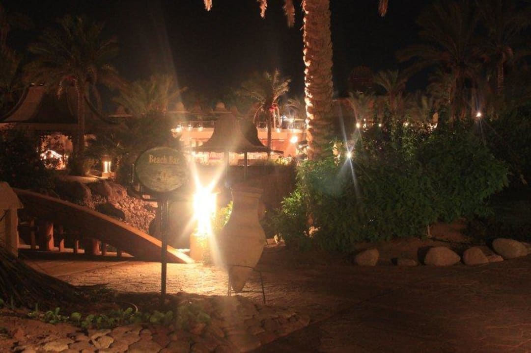 Ogrod wieczorem Parrotel Beach Resort