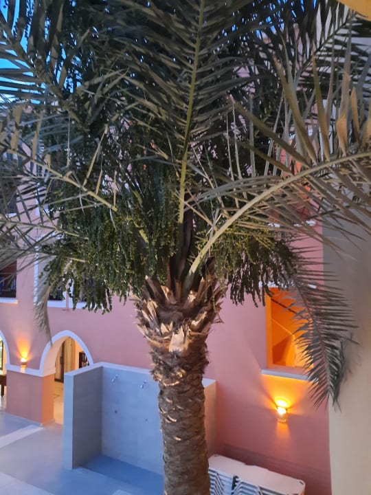 Sonstiges Jaz Dar EL Madina