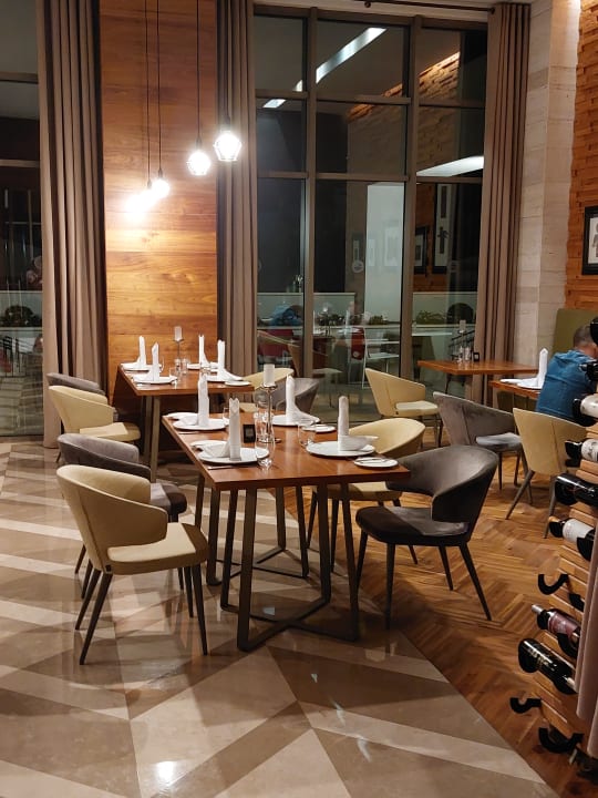 Gastro Acanthus Cennet Barut Collection