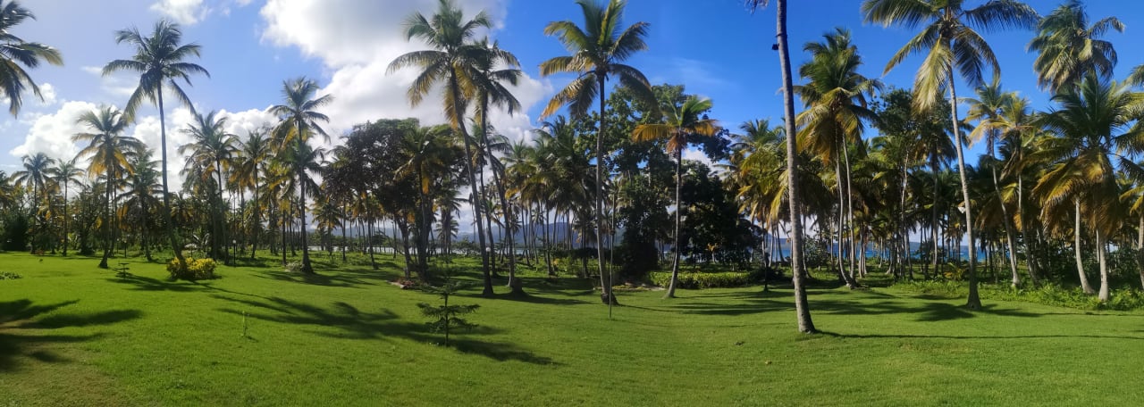 Ausblick Wyndham Alltra Samana