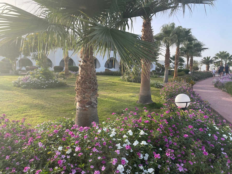 Außenansicht Three Corners Equinox Beach Resort