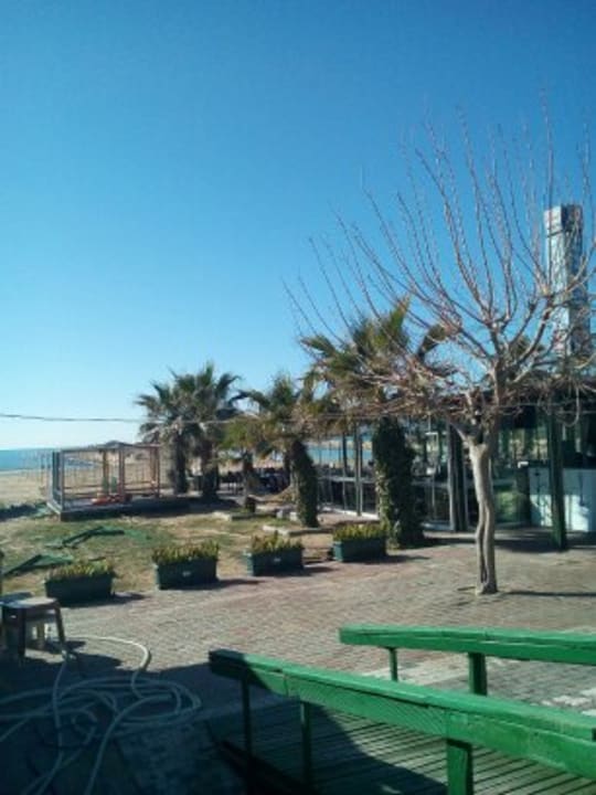 Leider wenig los jetzt Kamelya Selin Hotel