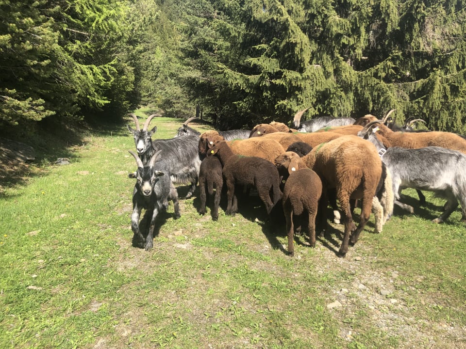 Sonstiges Granbichlhof