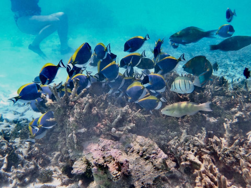 Sport & Freizeit Thulhagiri Island Resort