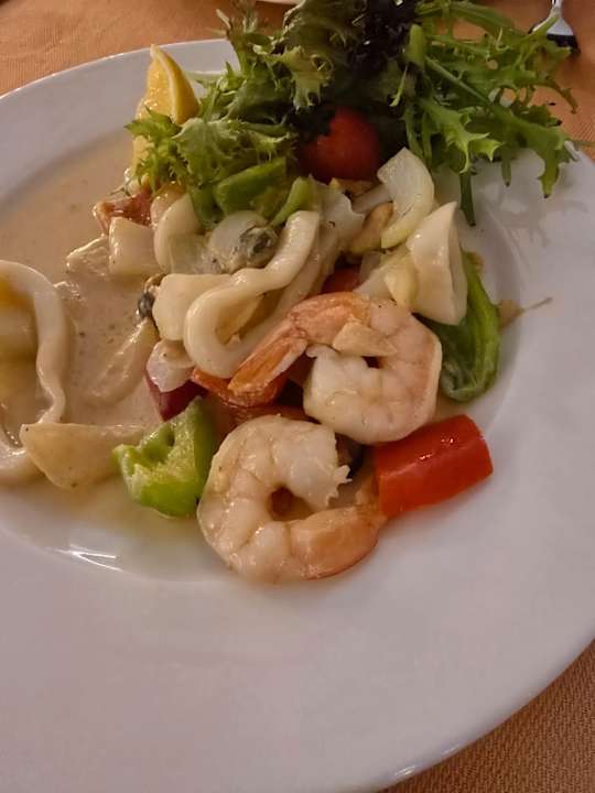 Gastro Seashell Vega