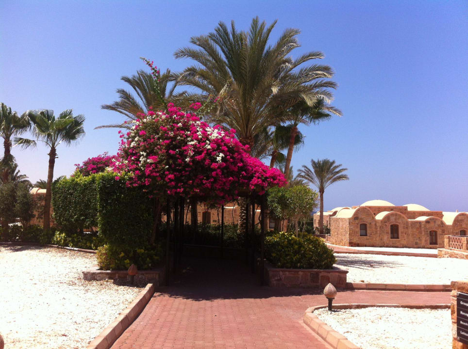 Ein traum Mövenpick Resort El Quseir