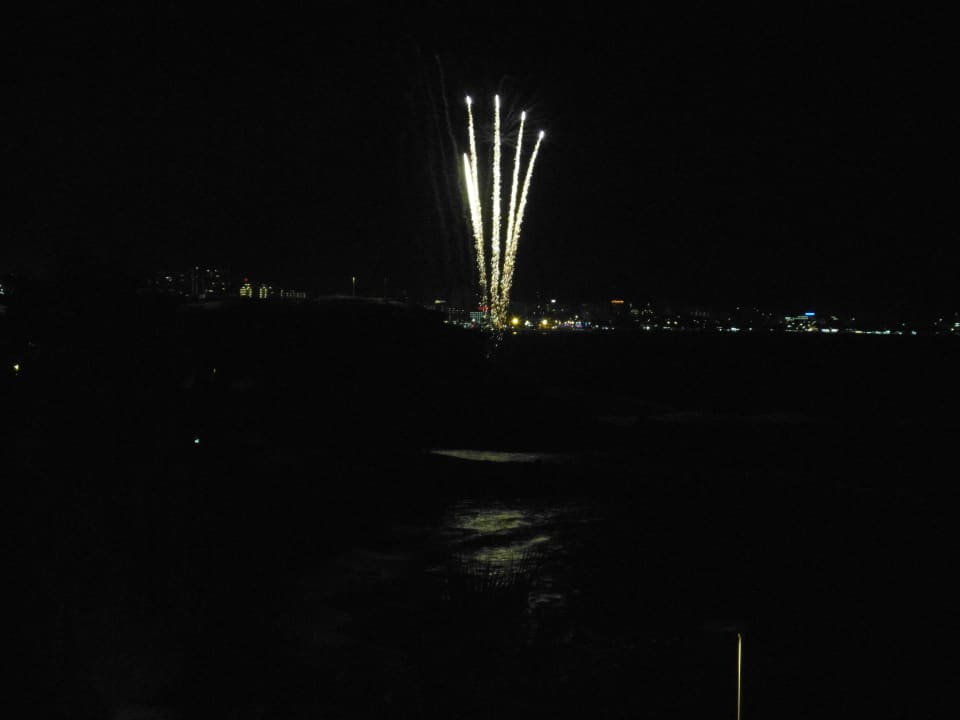 3 HOVIMA Jardin Caleta