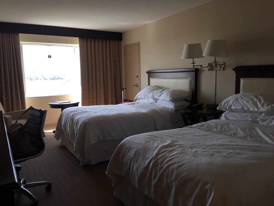 Double Queen Hotel Sheraton Arlington