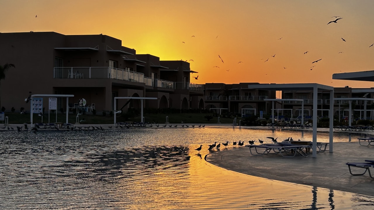Pool Pickalbatros Water Valley Resort - Neverland Hurghada