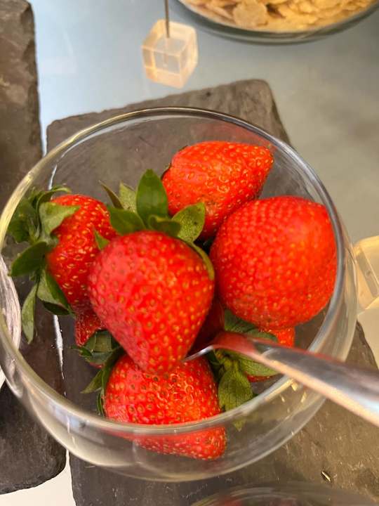 Gastro Hotel Mira Moon