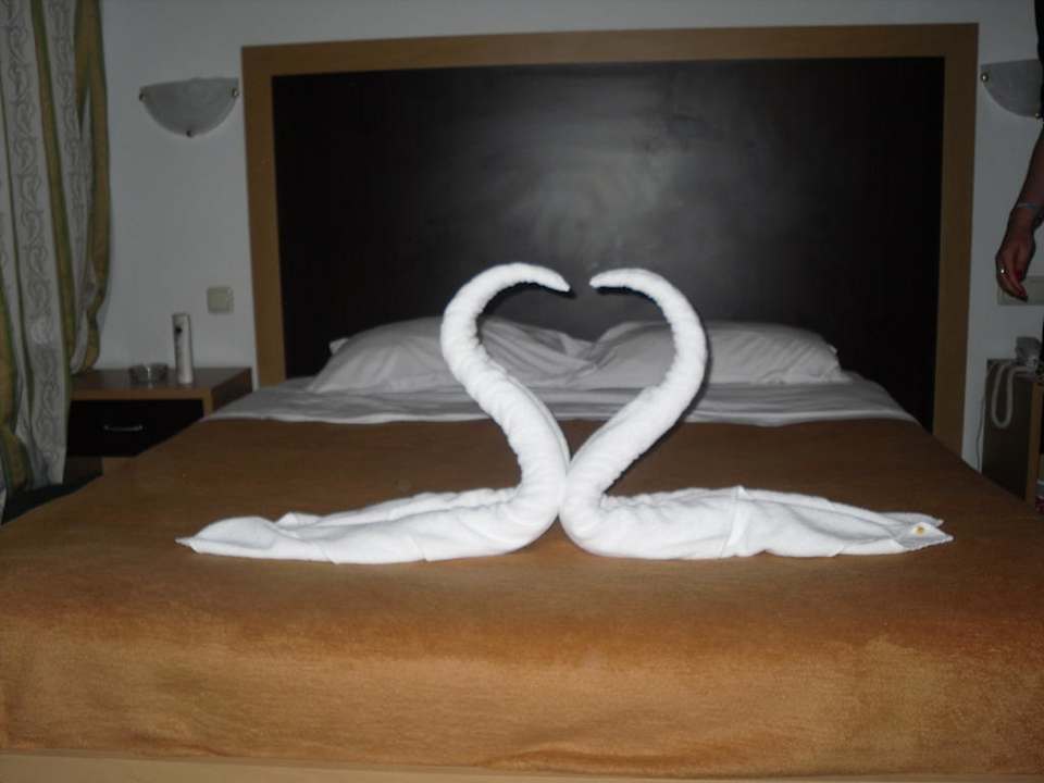 Mittwochs gabs Schwäne Hotel El Mouradi Cap Mahdia