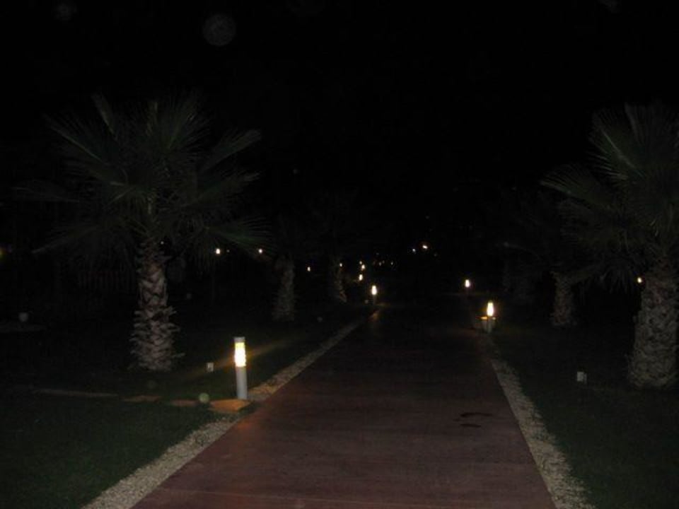 Steg zum Strand Saturn Palace Resort Hotel