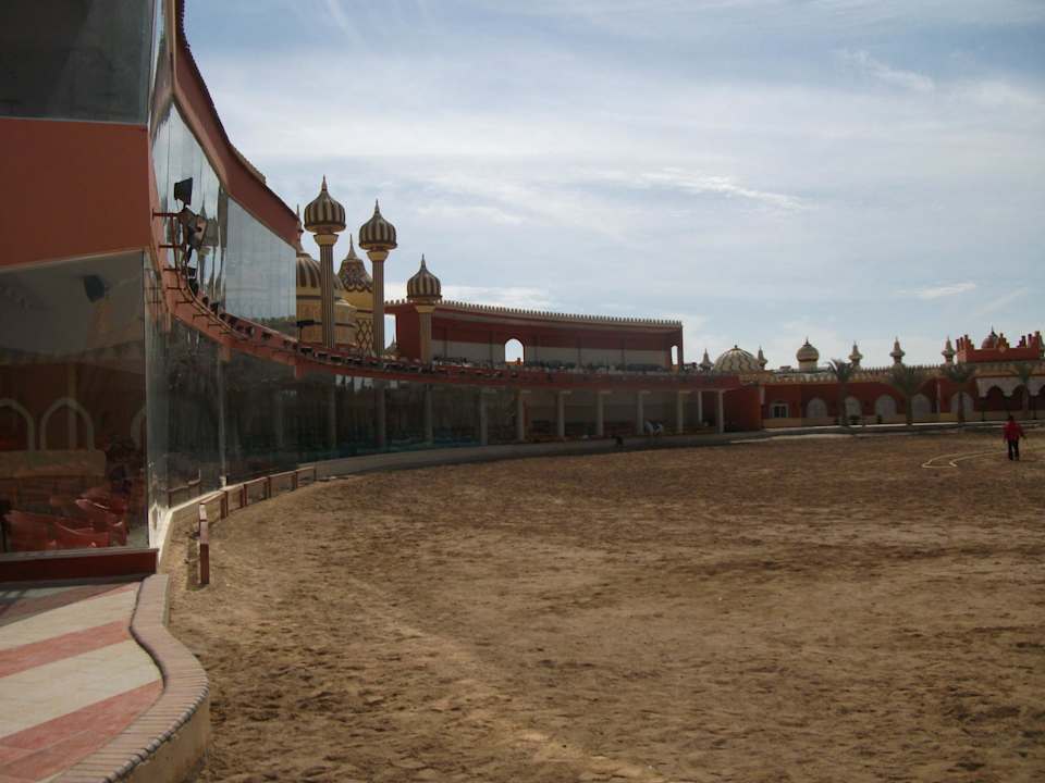 Die Showarena Pickalbatros Alf Leila Wa Leila Resort - Neverland Hurghada